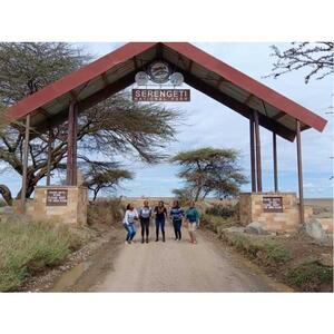 Arusha, Tanzania: Serengeti and Ngorongoro Multi-Day Camping Safari [GG_t386596]