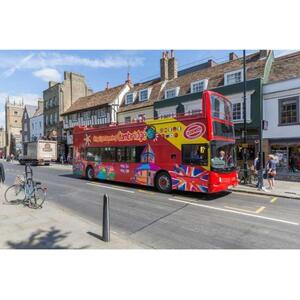 케임브리지 관광: 24시간 자유로운 승하차가 가능한 버스 투어