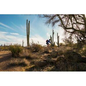 SCOTTSDALE: 소노란 사막 산악 자전거 반나절 투어