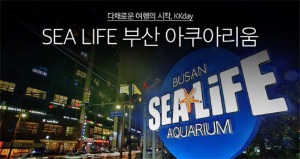 韩国 釜山 SEA LIFE 釜山水族馆门票 电子门票[KK_17699]