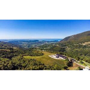 몬테 발도: 유기농 산 와인 투어 및 시음