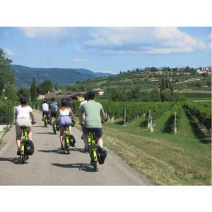 베로나: VALPOLICELLA 와인 셀프 가이드 전자 자전거 투어 및 시음