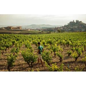 산 세바스티안 출발: 라 리오하 와인 지역 일일 투어
