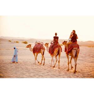 아부다비 전통 사막 캠프 체험 및 쿼드 바이크