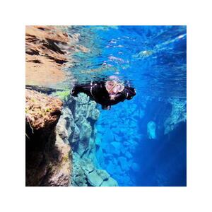 레이캬비크 출발: 수중 사진과 함께하는 실프라 스노클링
