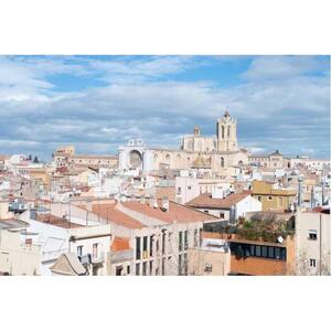 바르셀로나: 이동이 포함된 타라고나 &amp; 시체스 일일 가이드 여행