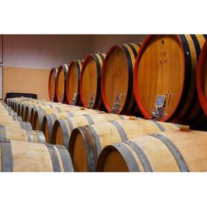 시에나 출발: 브루넬로 디 몬탈치노 가이드 와인 투어(점심 포함)