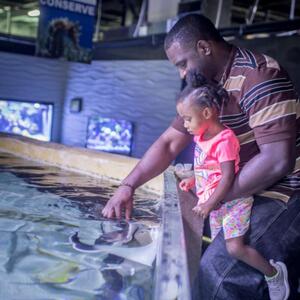 San Antonio Aquarium in Texas [TI_p1014606]
