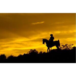 在美国内华达拉斯维加斯Wild West Sunset享受的骑马+晚餐 [TI_p975849]