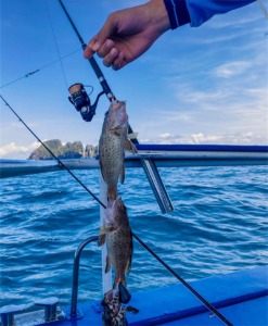 泰国 甲米有趣的钓鱼之旅和 4 个岛屿的浮潜[KK_135572]