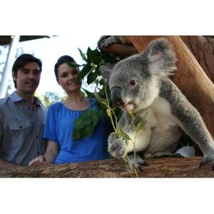 호주 시드니 타롱가 동물원 + 시드니 하버 호퍼 패스 [TI_p1037861]