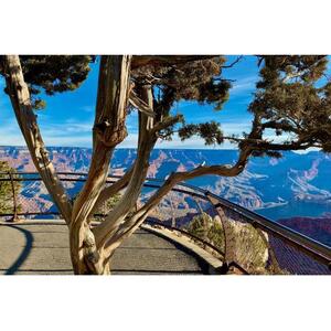 Grand Canyon National Park Tour from Las Vegas (including lunch) [TI_p1046915]