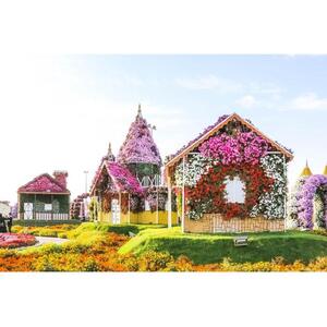 United Arab Emirates Dubai Miracle Garden &amp; Butterfly Garden: Guide Tour and Dubai Transportation [TI_p976811]