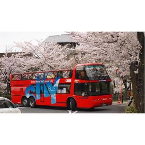 일본 교토 스카이 호프 버스 교토 (Sky Hop Bus Kyoto) [TI_p1029078]