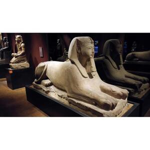 이집트 토리노 박물관: 줄 서지 않고 즐기는 가이드 투어 티켓