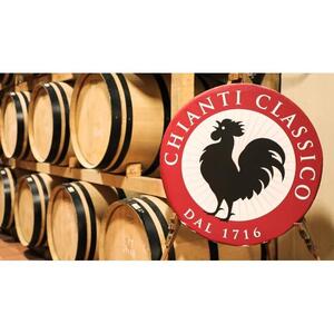 Day trip to Chianti, Italy + vineyard tour (from Florence) [TI_p1025066]