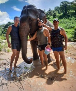 泰国 清迈 大象喂食和沐浴、竹筏漂流或白水漂流和瀑布观光[KK_134281]