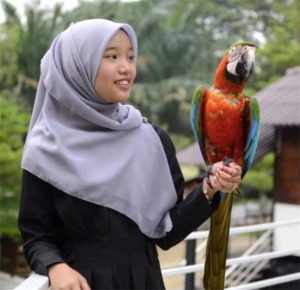 马来西亚雪兰莪 G2G 动物园门票&amp;骑小马活动 [KK_131639]