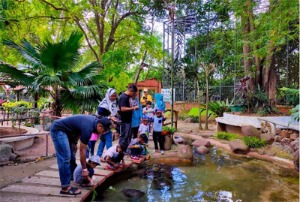 马来西亚 - 马六甲 Taman Buaya &amp; Rekreasi Melaka 鳄鱼和休闲公园门票[KK_131342]