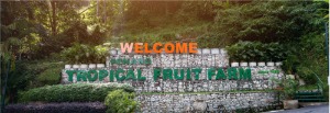 马来西亚 槟城热带水果农场导览之旅[KL_51631]