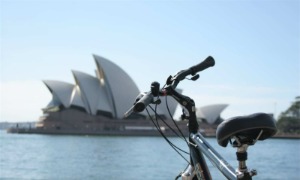 澳洲 新南威尔士州 全天自行车租赁 |悉尼[KK_125482]