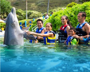 美国  夏威夷欧胡岛｜海豚零距离互动体验｜含海洋生物公园门票[KK_125997]