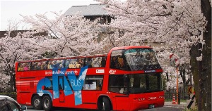 日本 京都随上随下Sky Hop Bus观光巴士票（1日 / 2日）[KL_23127]