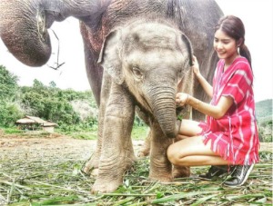 泰国【大象丛林保护区】芭提雅喂食大象体验[KK_28799]