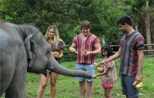 泰国 苏梅岛大象丛林保护区半日游[KK_24231]