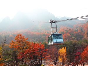 ソウル出発:雪岳山、ナミ、アチムゴヨ樹木園ツアー[GG_t446447]