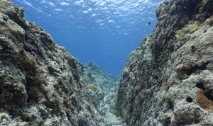 미국 괌 스쿠버 다이빙 체험 (한국인 강사) [WG_134925]