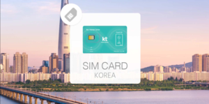 한국 인터넷 전화 카드 | KT Olleh 30일 무제한 데이터 SIM 카드 + 통화 | 한국 수령, 택배 [KK_10332]