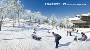 일본 홋카이도 | F VILLAGE ADVENTURE PARK 스키 파크 | 스키 장비 대여 [KK_155607]