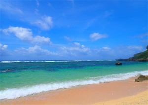 일본 오키나와 미야코지마의 바다에서 스노클링 + 선택 가능한 액티비티 SUP or 바다 카약 | 반나절 플랜 · 사진 데이터 무료 [KK_104978]