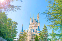 Tokyo Disneyland® &amp; Disney Sea Adult Ticket (entered QR code immediately) [WG_110412]