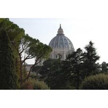 바티칸: 성 베드로 대성당 돔 가이드 워킹 투어