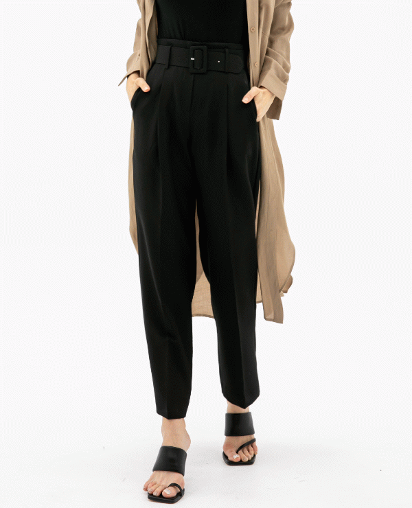 Solid Tone Darted Tailored Pants