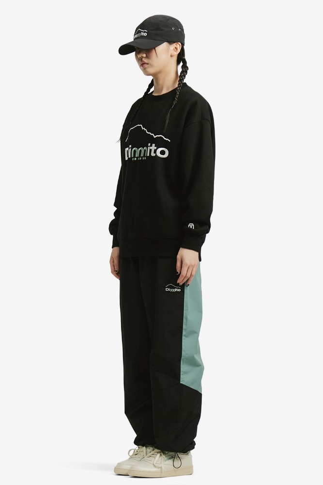 AIR FORCE OS (DIMITO X ISTKUNST) PANTS MINT
