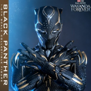 [HOTTOYS] 핫토이 MMS675 블랙팬서 와칸다 포에버 : 블랙팬서 1/6 액션피규어 [Black Panther Wakanda Forever : Black Panther 1/6 Scale Collectible Figure]