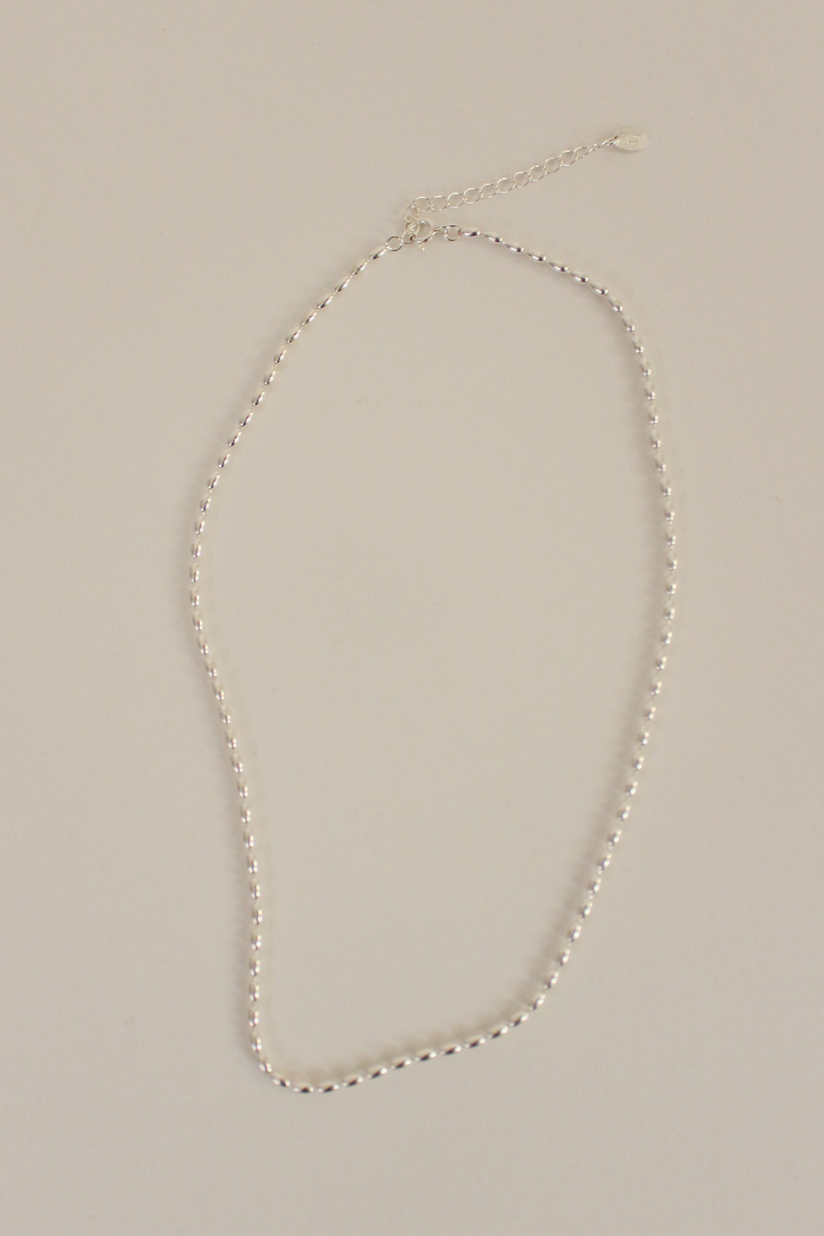 DAILY POINT NECKLACE (925 SILVER)