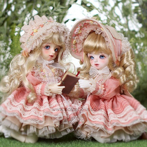 Special Edel &amp; Cozy Blossom full set ( Limited )