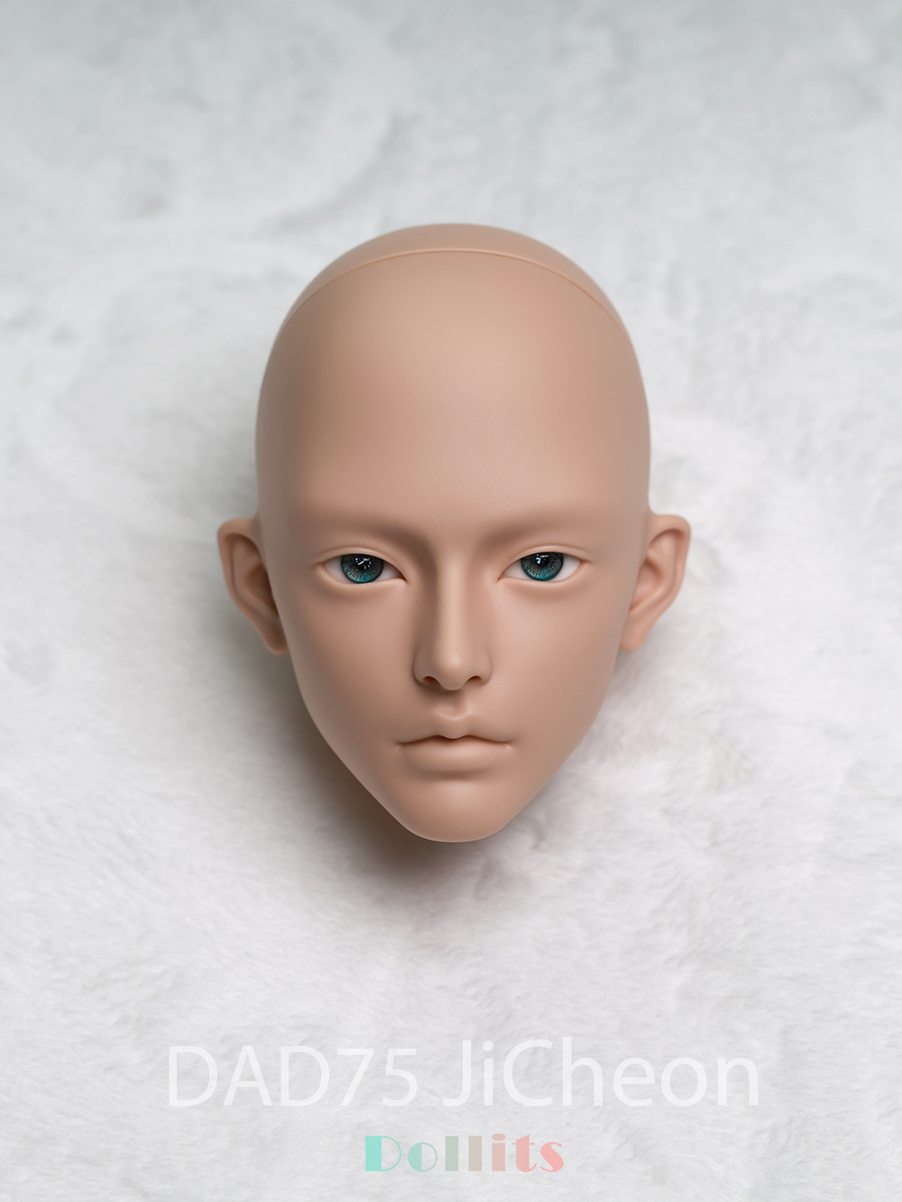 Dollits DAD75,70,64 Head Sale - 75 Jicheon