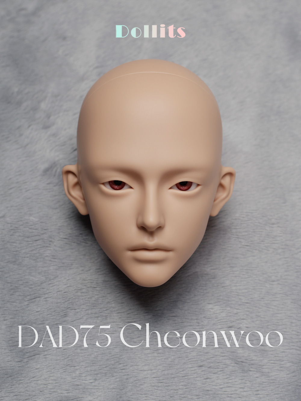Dollits DAD75,70,64 Head Sale - 75 Cheonwoo