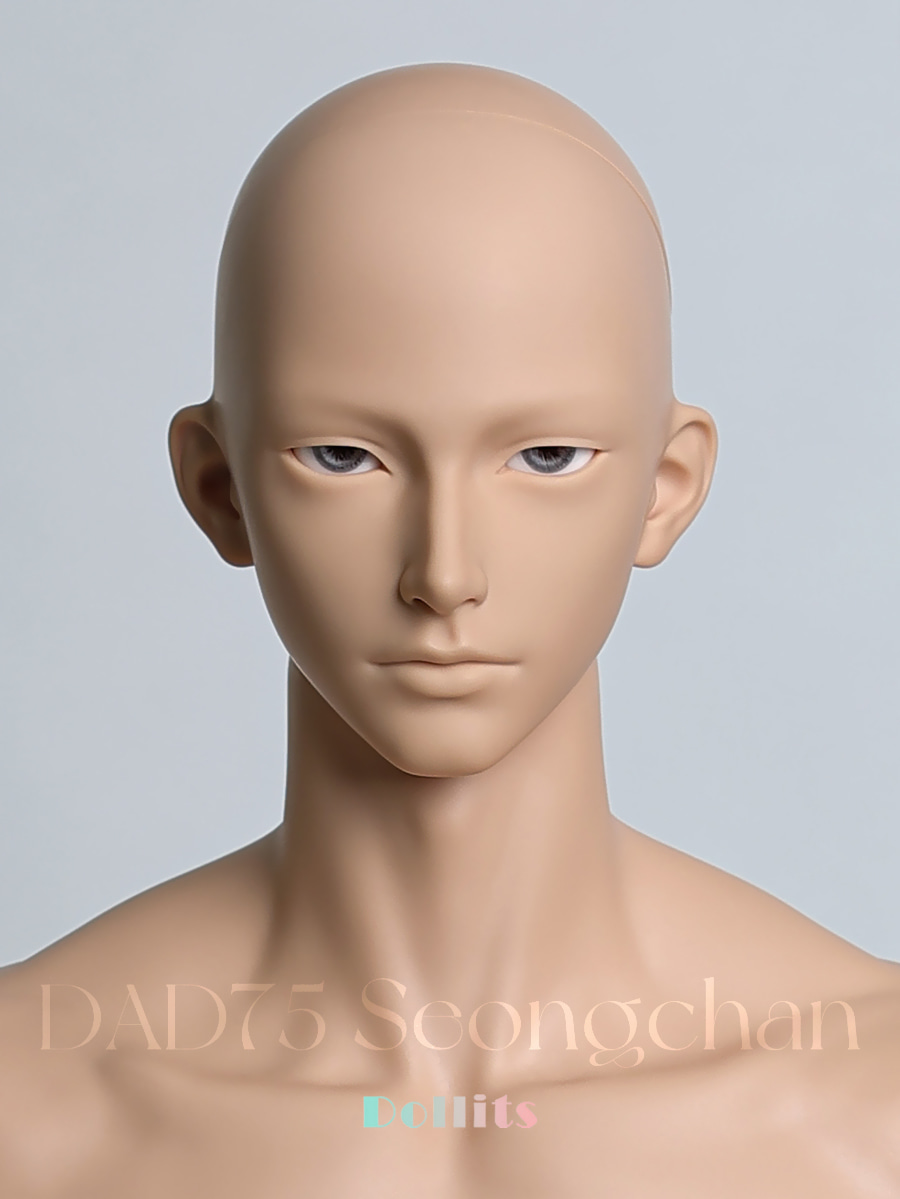 Dollits DAD75,70,64 Head Sale - 75 Seongchan