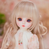 ball jointed doll dollsn elly
