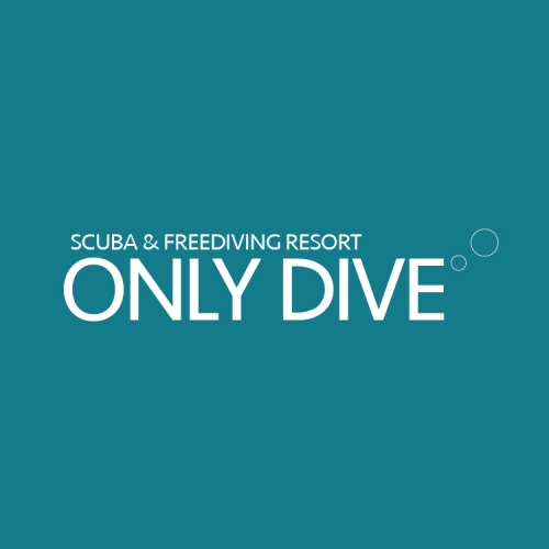 ONLY DIVE