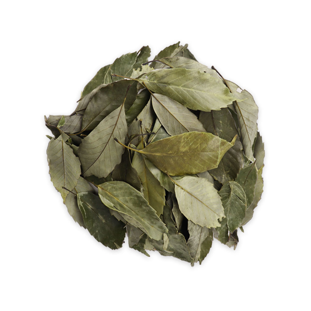 국산 이백저잎 참가시나무잎 (100% 잎) 3kg