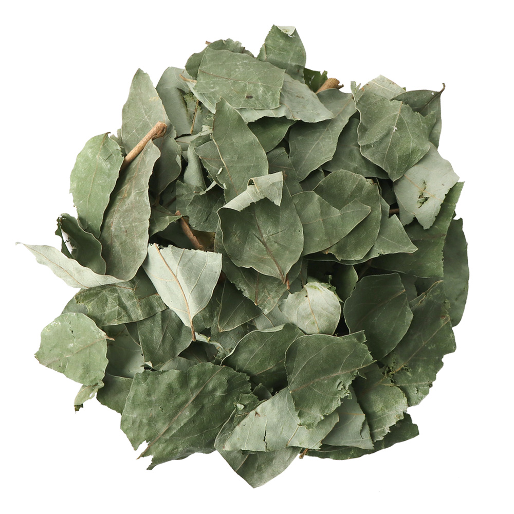자연산 국산 햇 감태나무 잎 잔가지 3kg