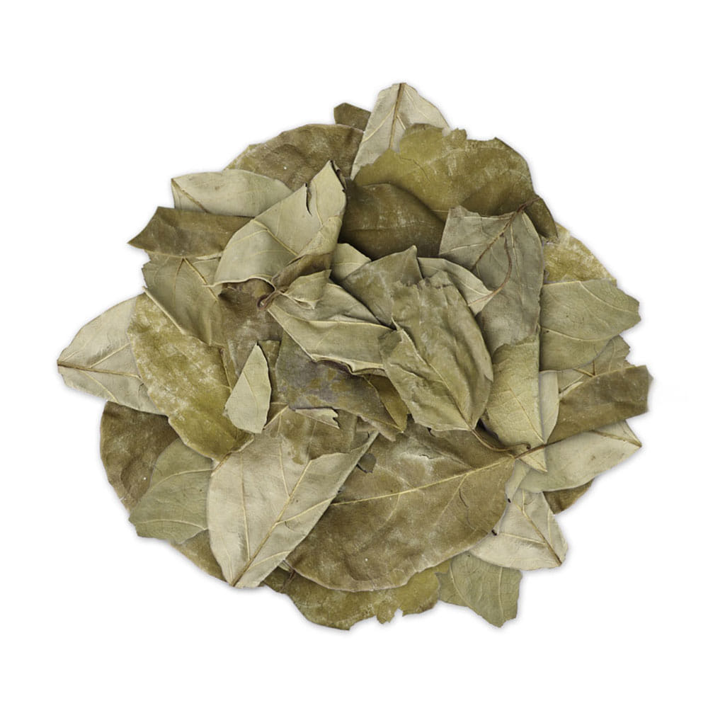 국산 꾸지뽕잎 구찌뽕잎 구지뽕잎 (100% 잎) 300g