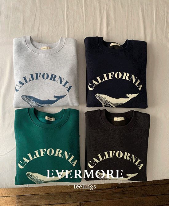 [evermore] 돌핀MTM (4color) *당일출고